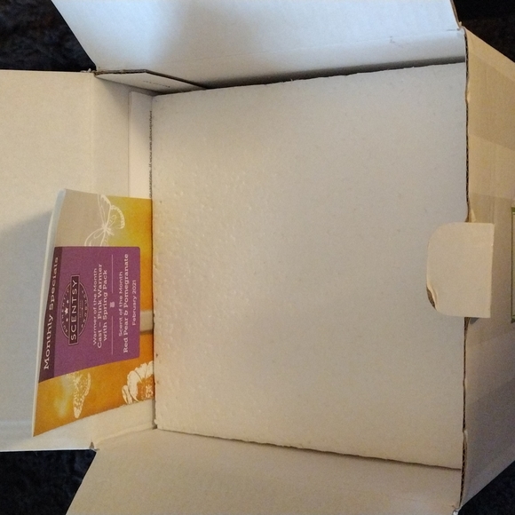 Cast Pink with Spring Pack Scentsy Warmer - Picture 4 of 8